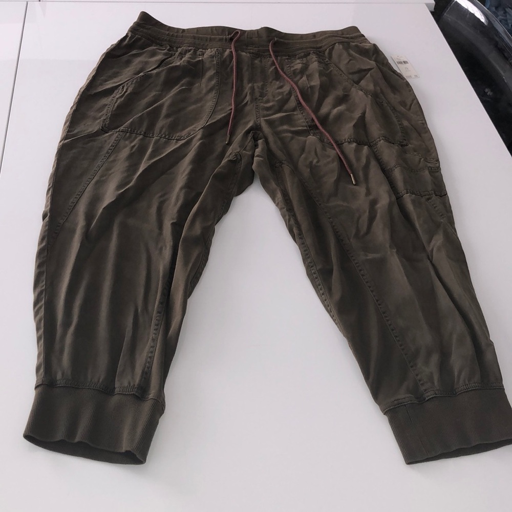 Anthropologie Jogger Pants